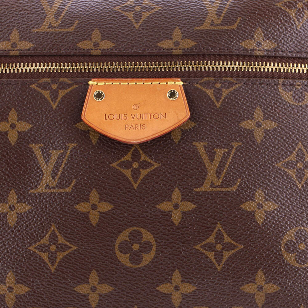 Louis Vuitton Iena Tote Canvas Mm #244288L14B - Picture 6 of 8